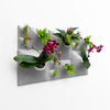 Modern sculptural green wall for house plants, orchids, and air plants. 
