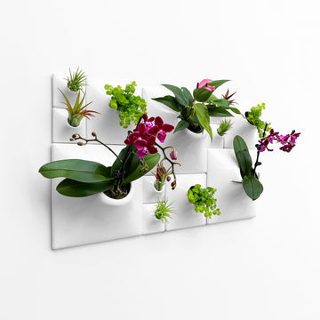 Node Wall Planter