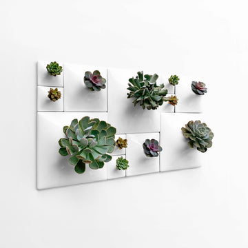 succulent living wall planter Node Wall Planter