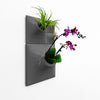 Small gray unique wall planter holding orchid and air plants. 