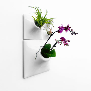 small wall mounted plant pots Node Wall Planter