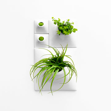 small wall mounted plant pots Node Wall Planter